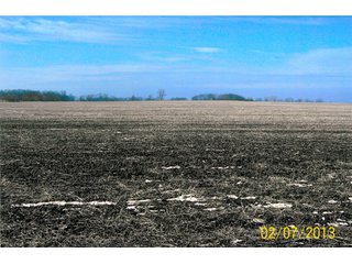 Property photo 3 - 100 +/- Acres - Productive Tillable Farmland, Elijah Trust